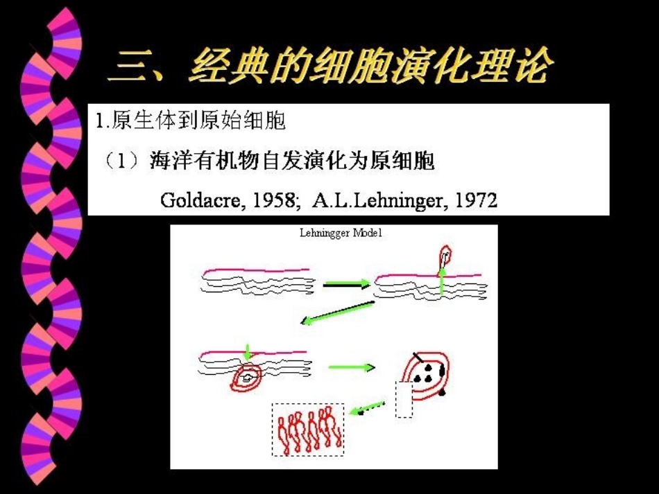 进化生物学2章细胞的起源和演化_第3页
