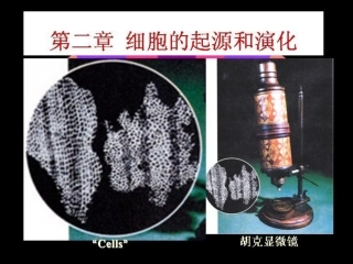 进化生物学2章细胞的起源和演化