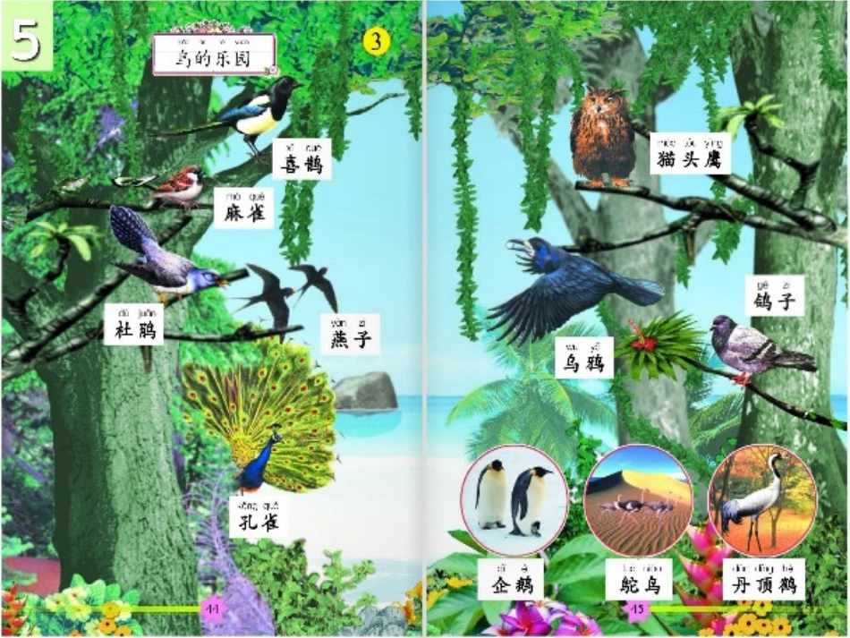 长春版一年级下册第五板块鸟的乐园尹红岩_第2页