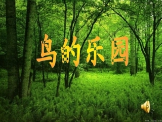长春版一年级下册第五板块鸟的乐园尹红岩