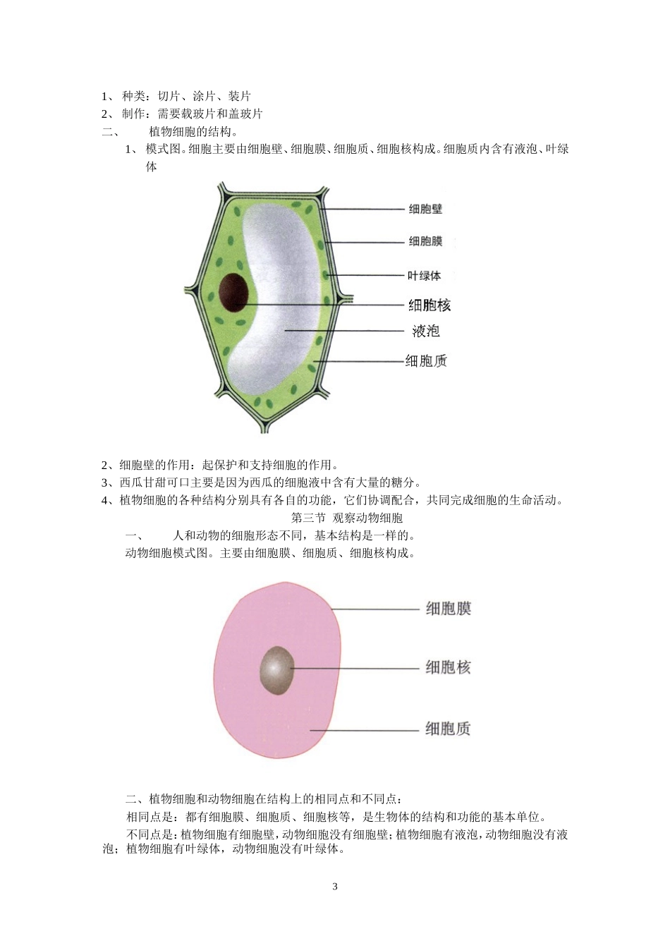 七年级生物上册复习提纲_第3页