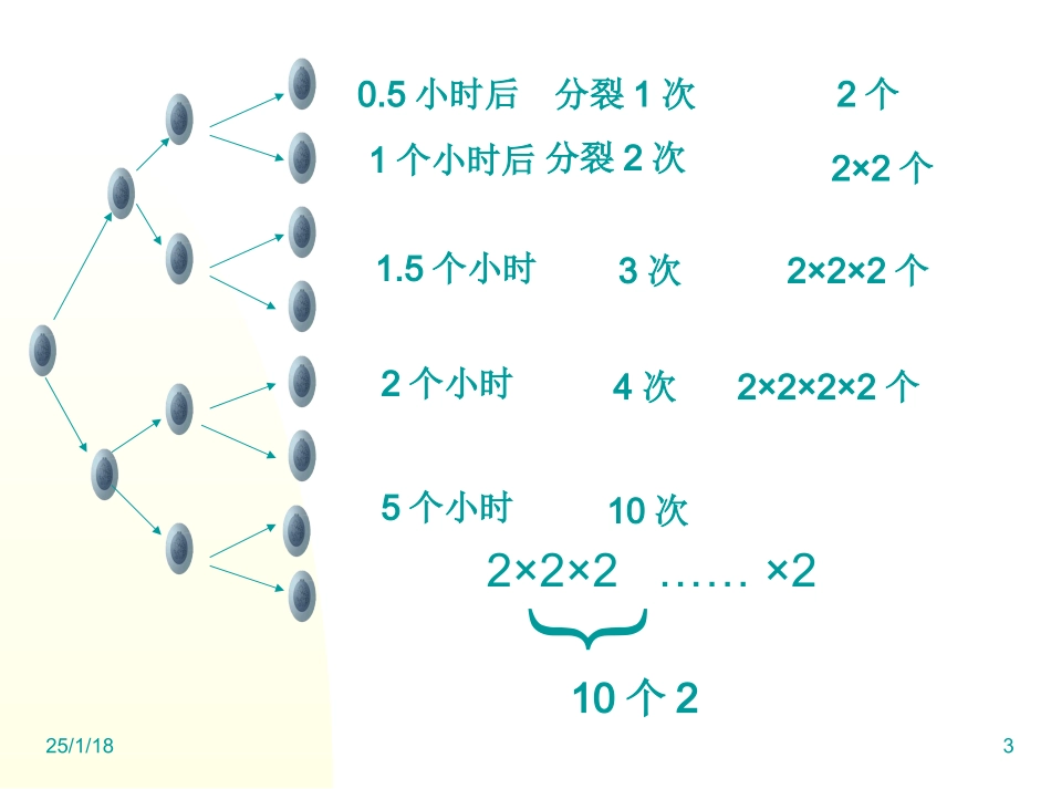 1.5.1有理数的乘方2(SK)_第3页