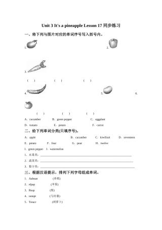 Unit-3-It's-a-pineapple-Lesson-17-同步练习3