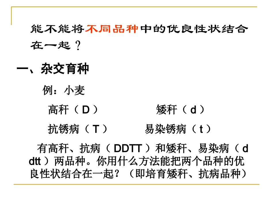 杂交育种与诱变育种2013_第3页
