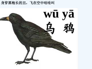 (部编)人教2011课标版一年级上册乌鸦喝水生字学习