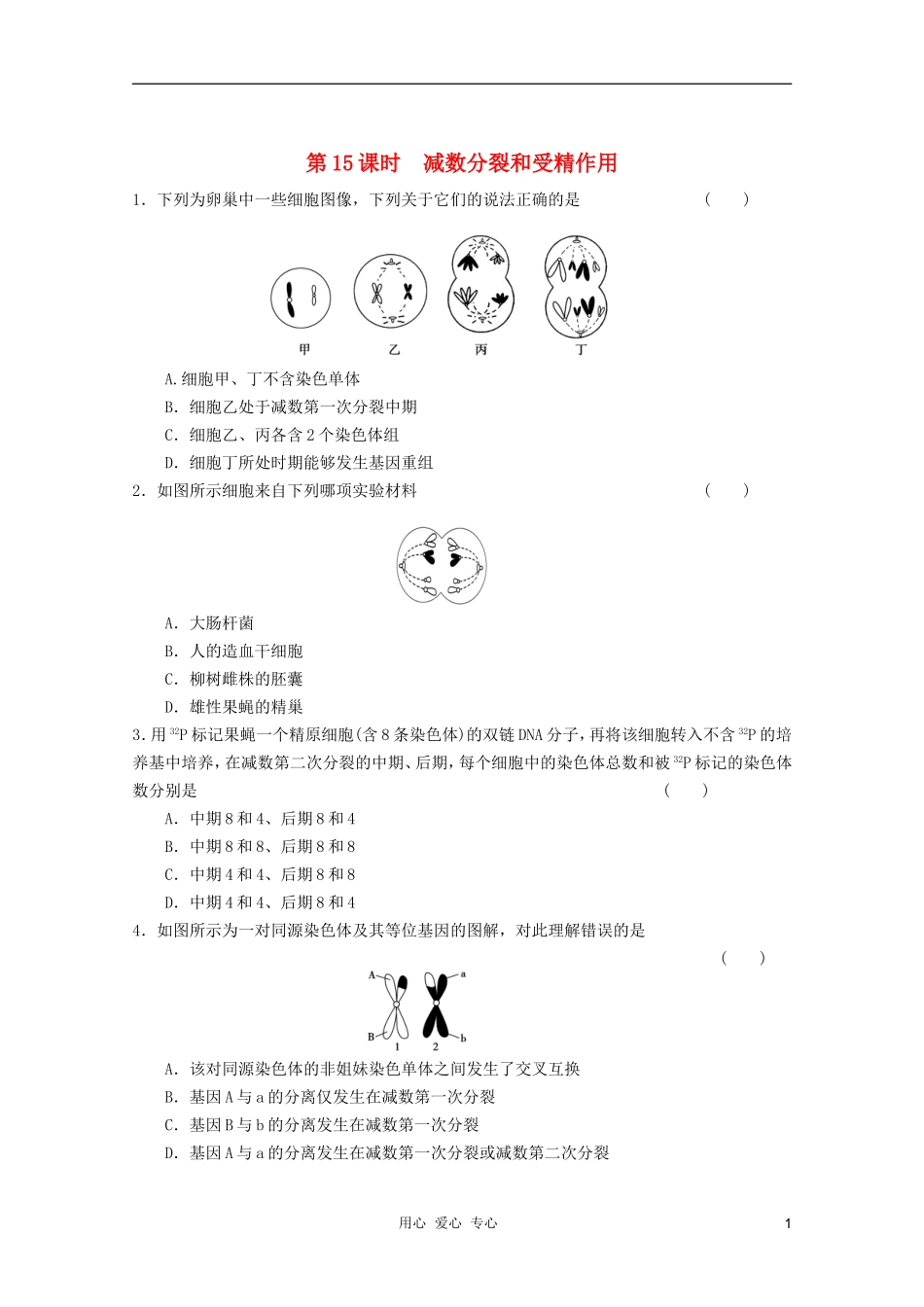 2012届高考生物一轮复习-2.1减数分裂和受精作用课时练-新人教版必修2_第1页