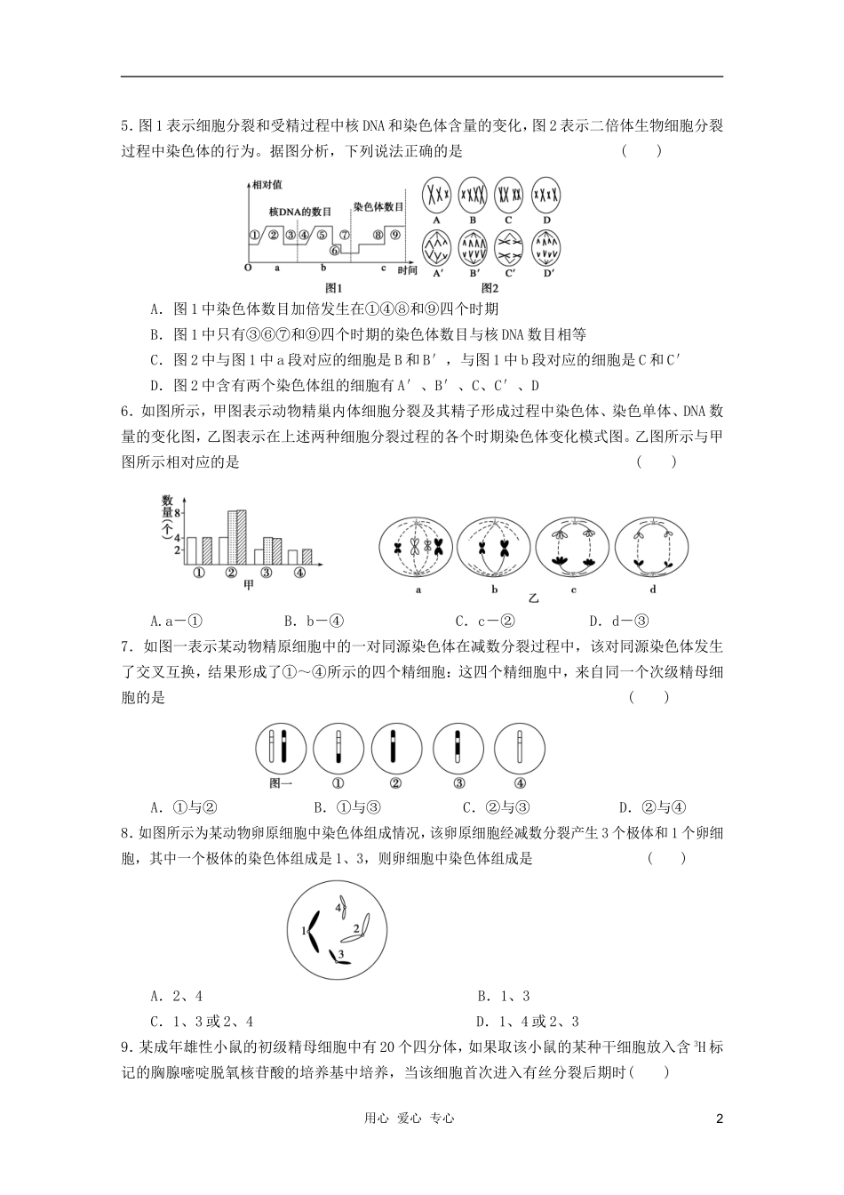 2012届高考生物一轮复习-2.1减数分裂和受精作用课时练-新人教版必修2_第2页