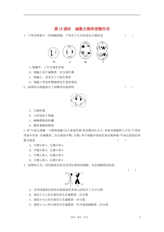 2012届高考生物一轮复习-2.1减数分裂和受精作用课时练-新人教版必修2