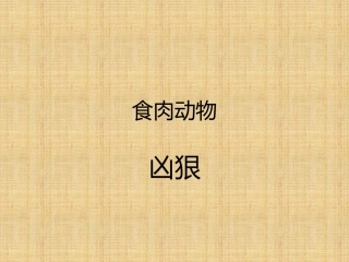 不留余地的狼