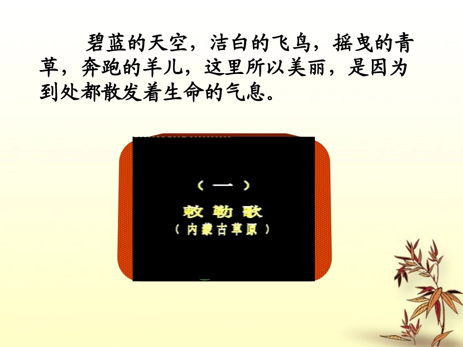 宁夏石嘴山市七年级政治上册-世界因生命而精彩课件_第2页