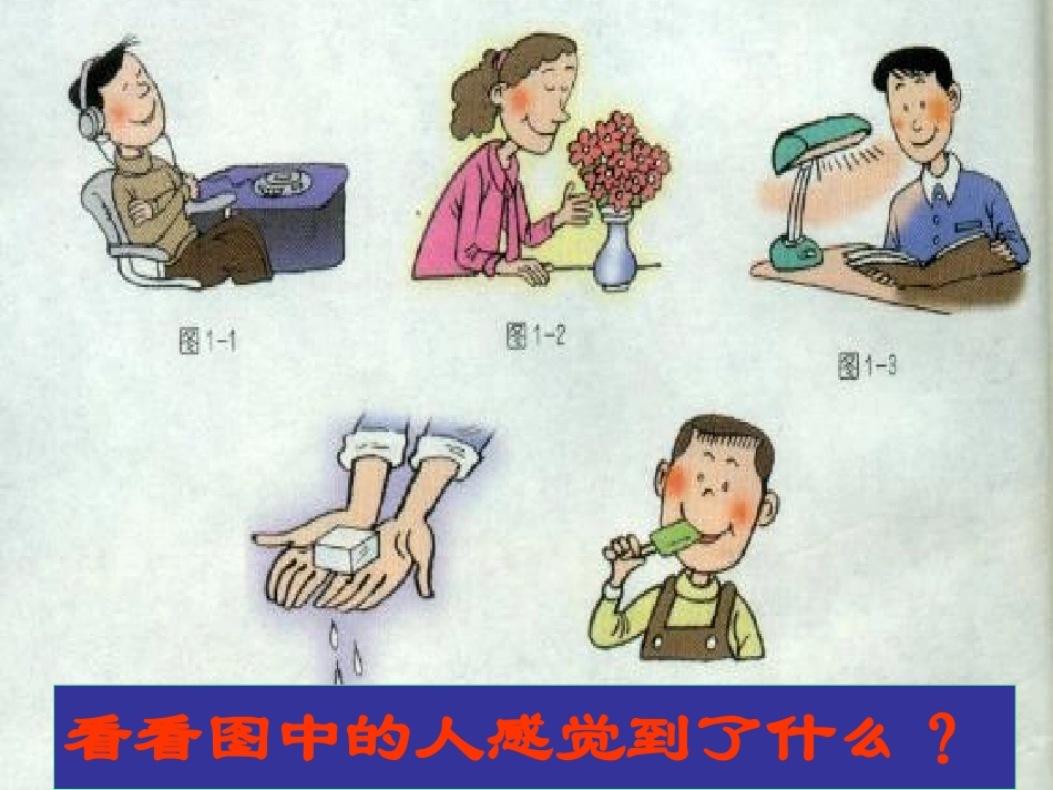 浙江省泰顺县第七中学七年级科学下册《1.1感觉世界》课件1-浙教版_第3页