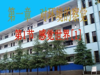 浙江省泰顺县第七中学七年级科学下册《1.1感觉世界》课件1-浙教版