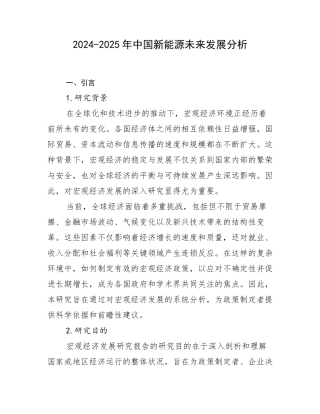 2024-2025年中国新能源未来发展分析