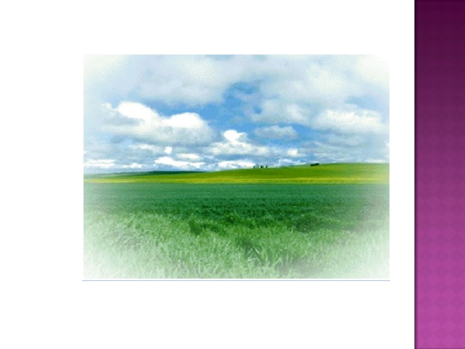 《草原》课件_第3页