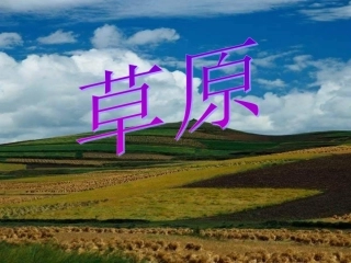 《草原》课件