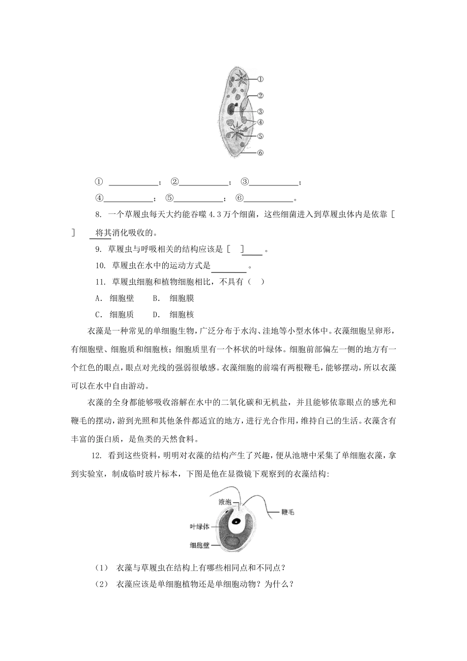 《第一节-单细胞生物》同步练习2_第2页