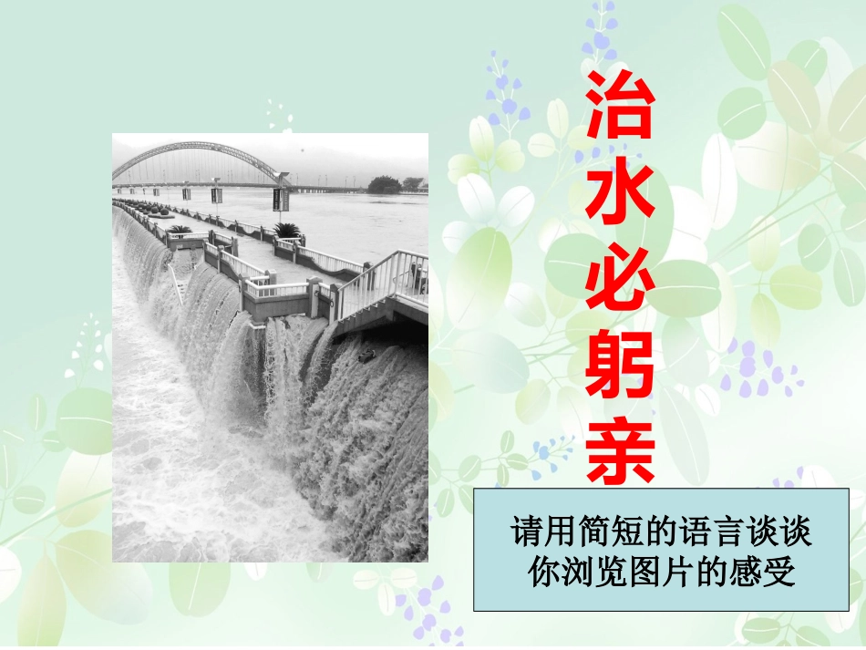 《治水必躬亲》_第3页