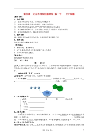 高中生物-4—1、ATP和酶教案(学生版)-必修1