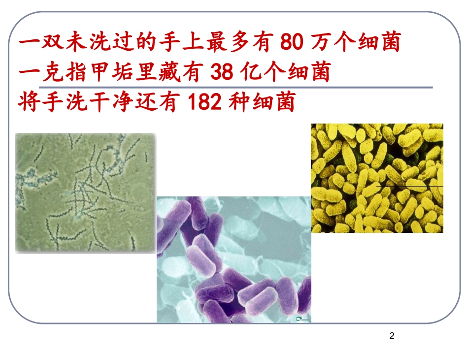 科学·技术·社会-基因治疗-(5)_第2页