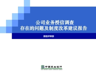 银行对公司业务授信调查存在的问题及调查制度改革建议报告(培训版)
