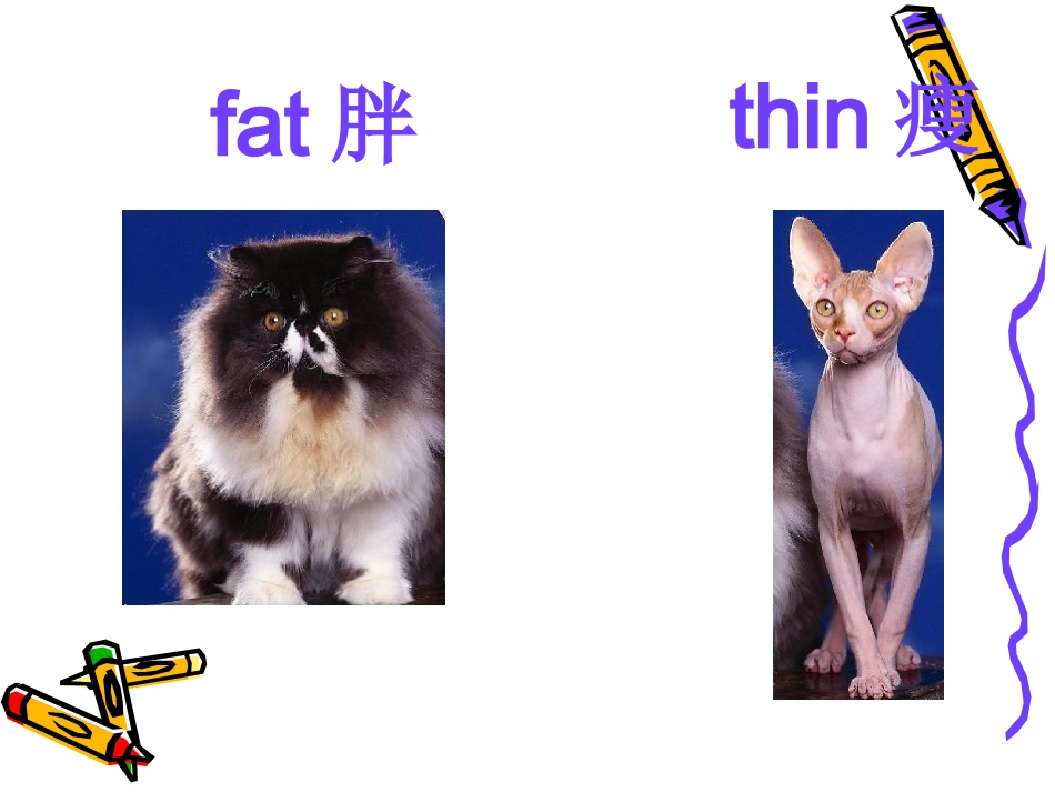 Unit2-INTERESTING-OPPOSITES-LESSON8——反义词_第2页