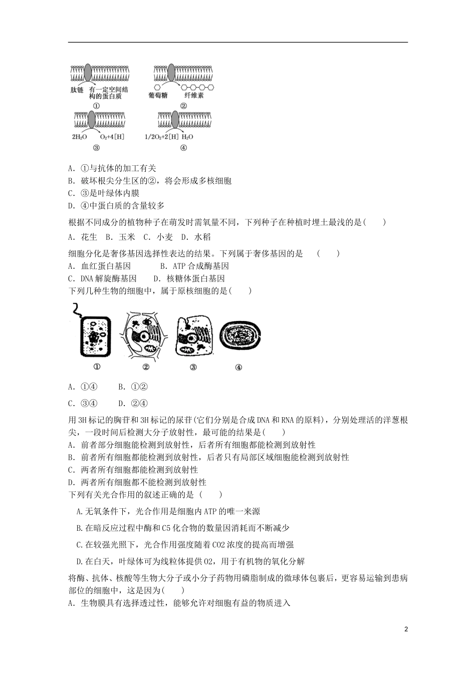 高一生物暑期训练41_第2页