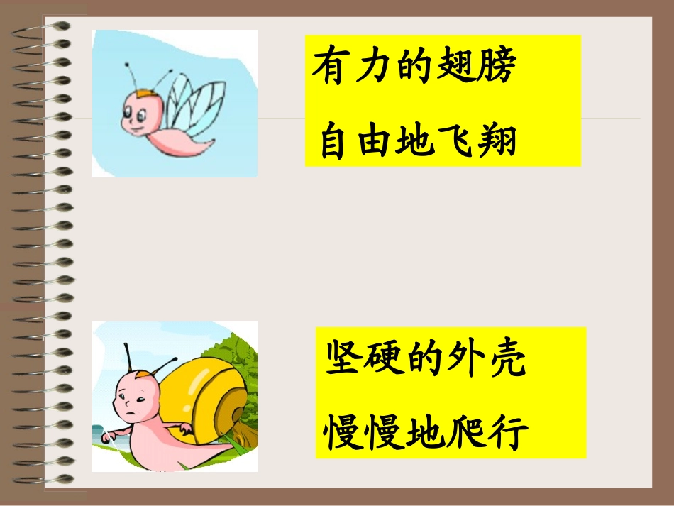 蜗牛的奖杯OK_第3页