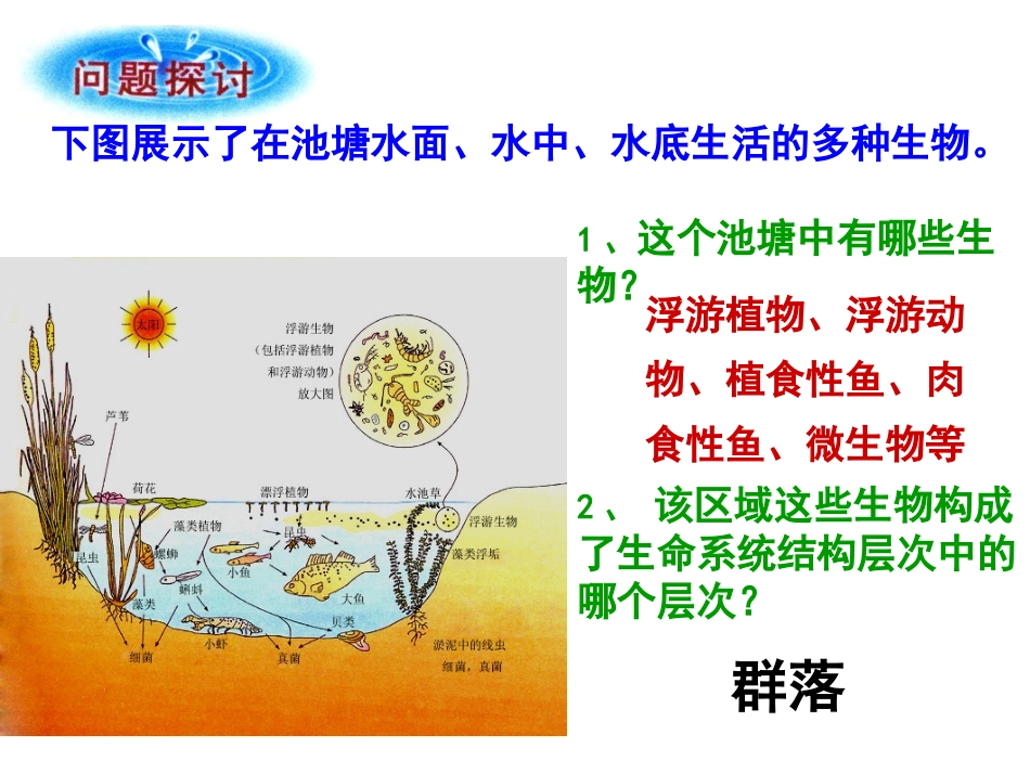 与生物学有关的职业-林业工程师_第2页