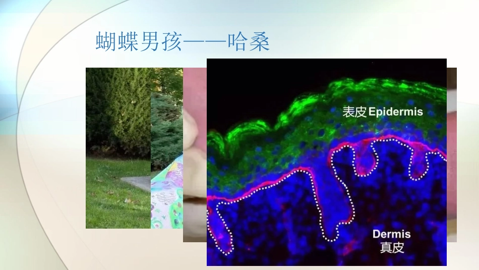 科学·技术·社会-基因治疗_第2页