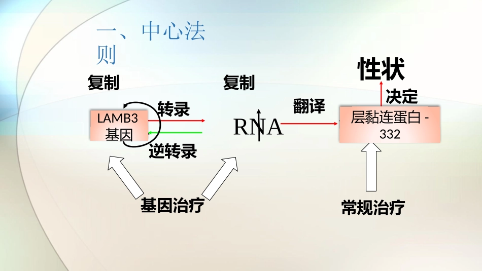 科学·技术·社会-基因治疗_第3页