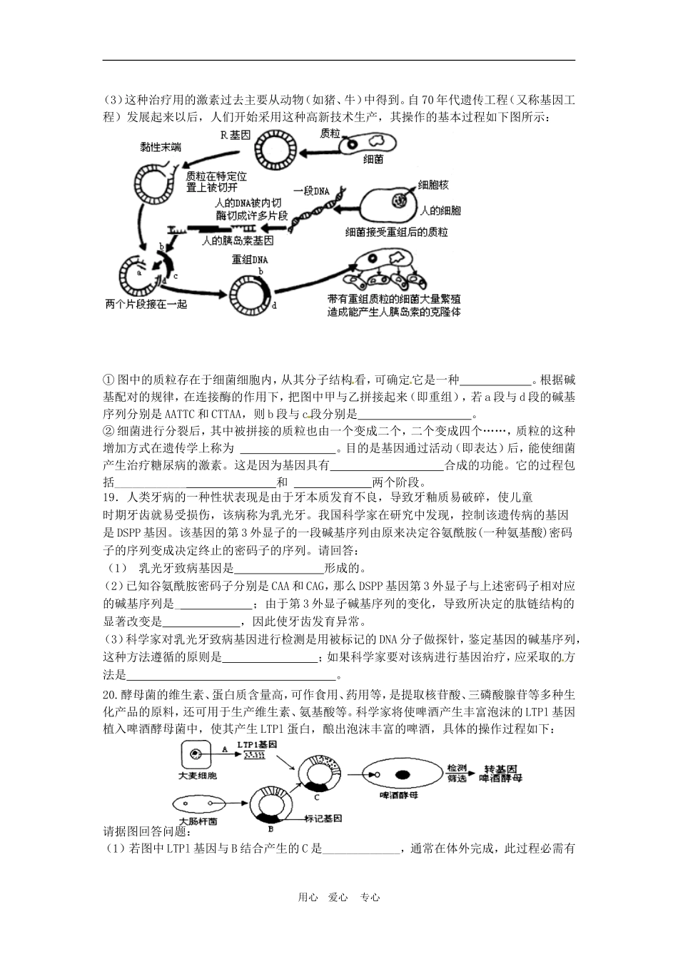 高中生物：-12-基因工程的基本操作程序(同步测试题)人教版选修3_第3页