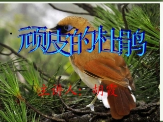 《顽皮的杜鹃》PPT课件