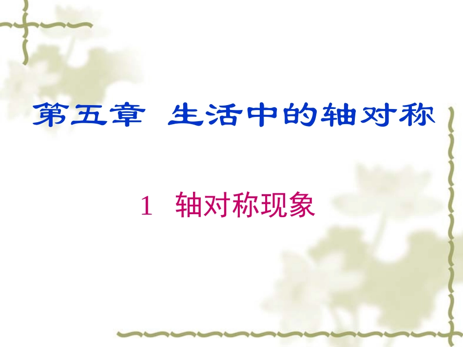 《轴对称现象》课件-(4)_第1页