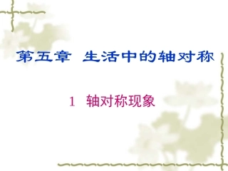 《轴对称现象》课件-(4)