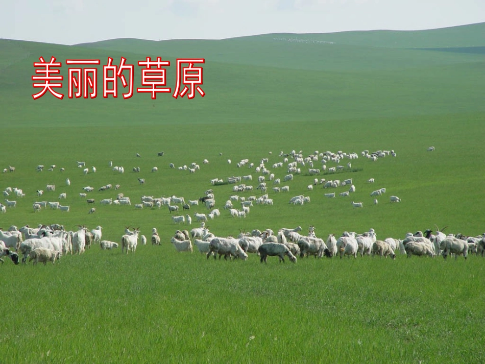 七年级政治上册-第一单元第1课《生命的乐章》课件--陕教版_第1页