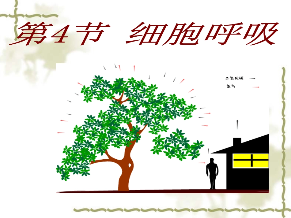 第四节细胞呼吸_第2页