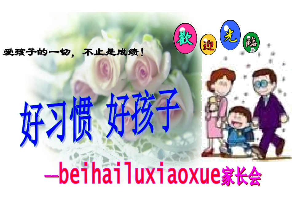二(三)班家长会_第3页