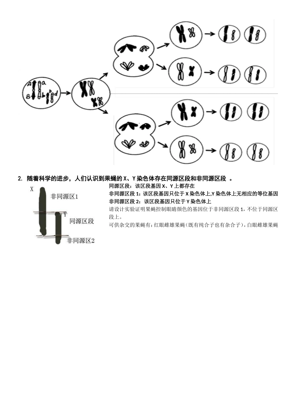 第四节伴性遗传_第2页