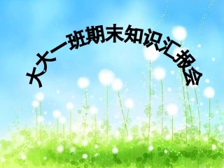 期末知识汇报会