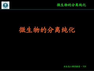 微生物的分离纯化