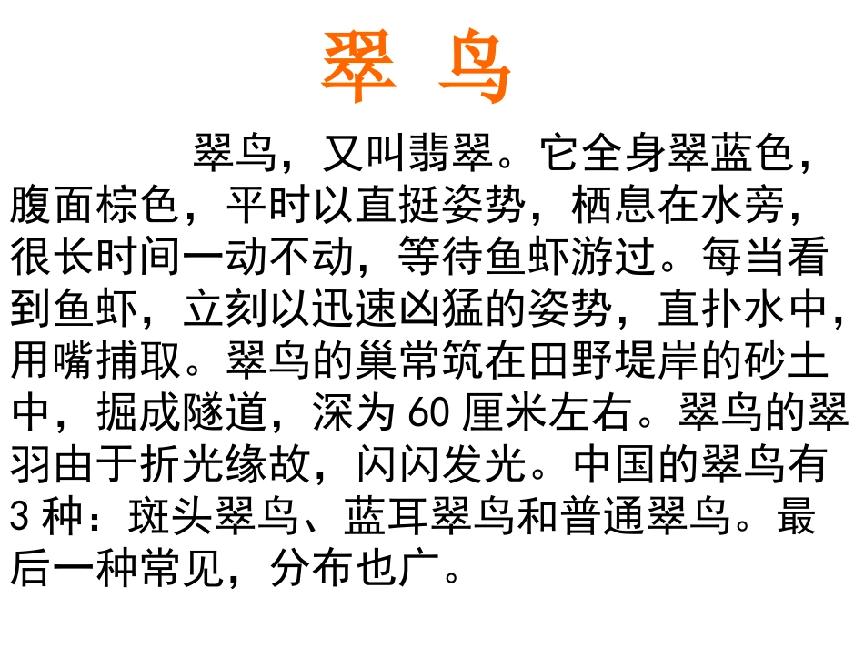 《翠鸟》课件-(1)_第2页