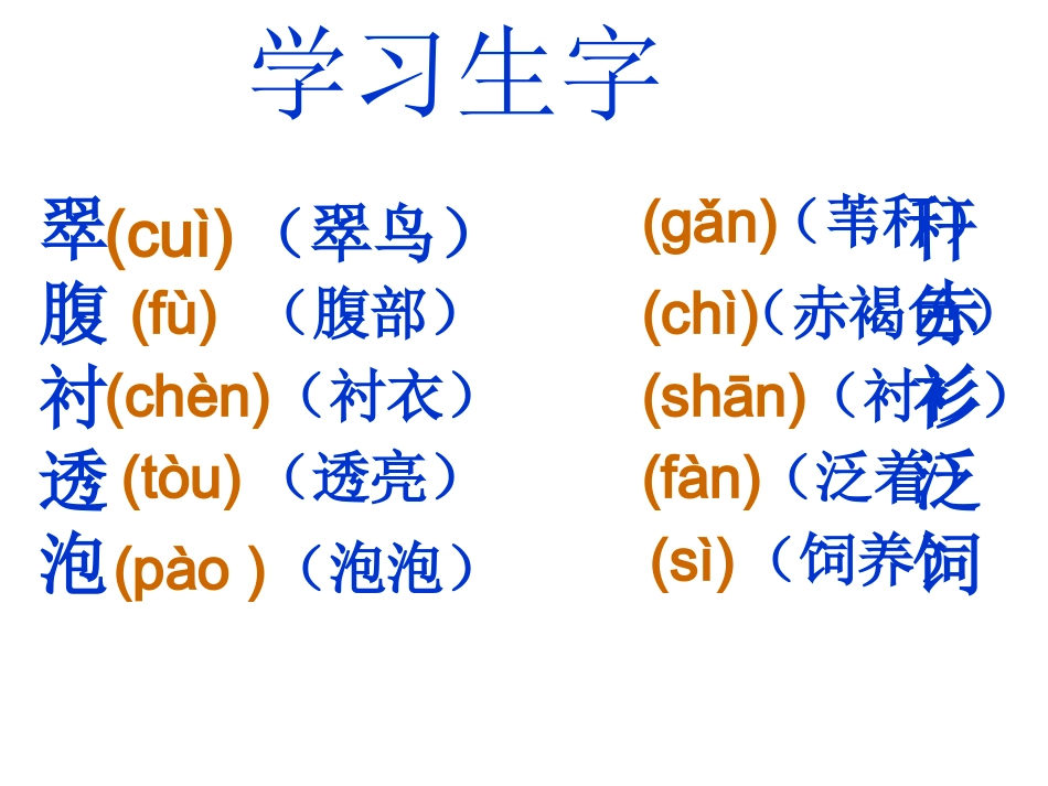 《翠鸟》课件-(1)_第3页