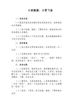 16小班健康：大雪飞扬