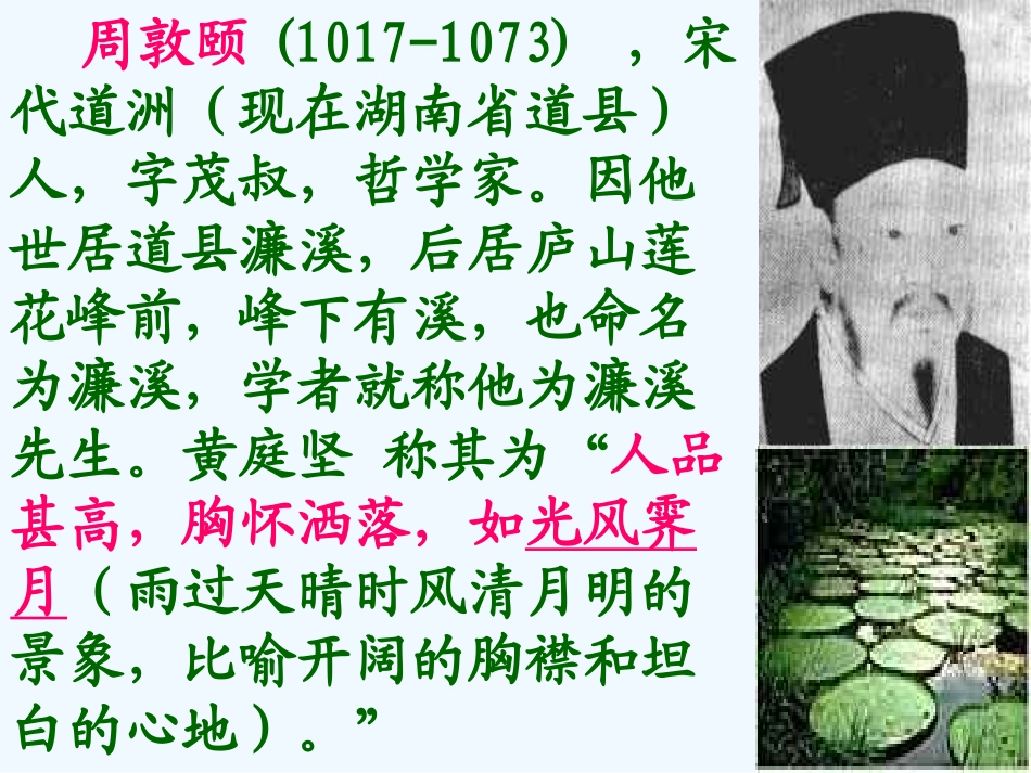 (部编)初中语文人教2011课标版七年级下册爱莲说课件-(7)_第2页