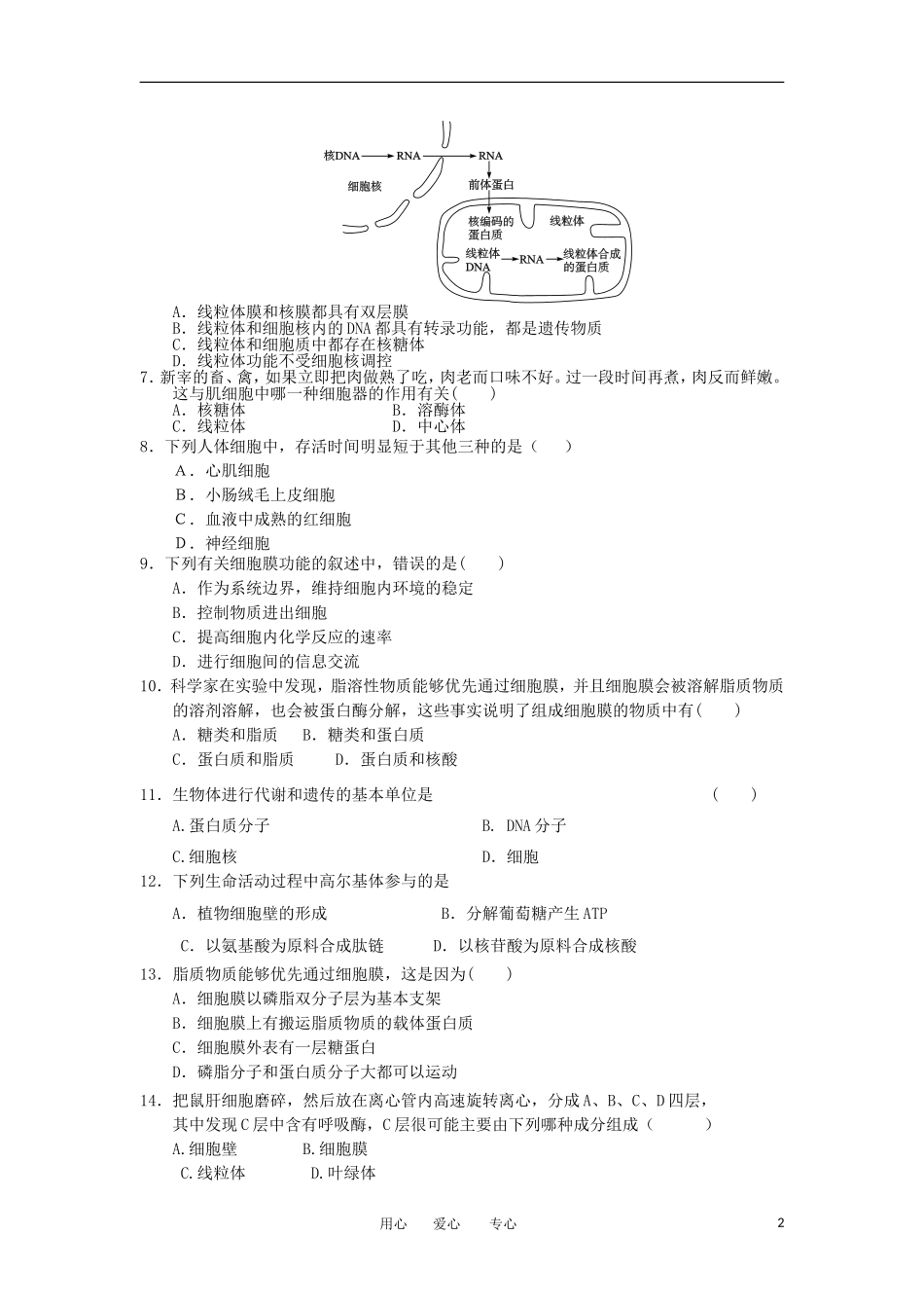 2012高一生物-3.2细胞的类型和结构24每课一练-苏教版必修1_第2页