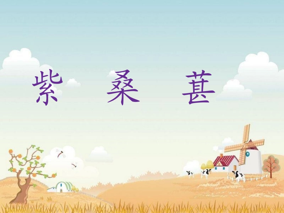 《紫桑葚》课件1_第1页