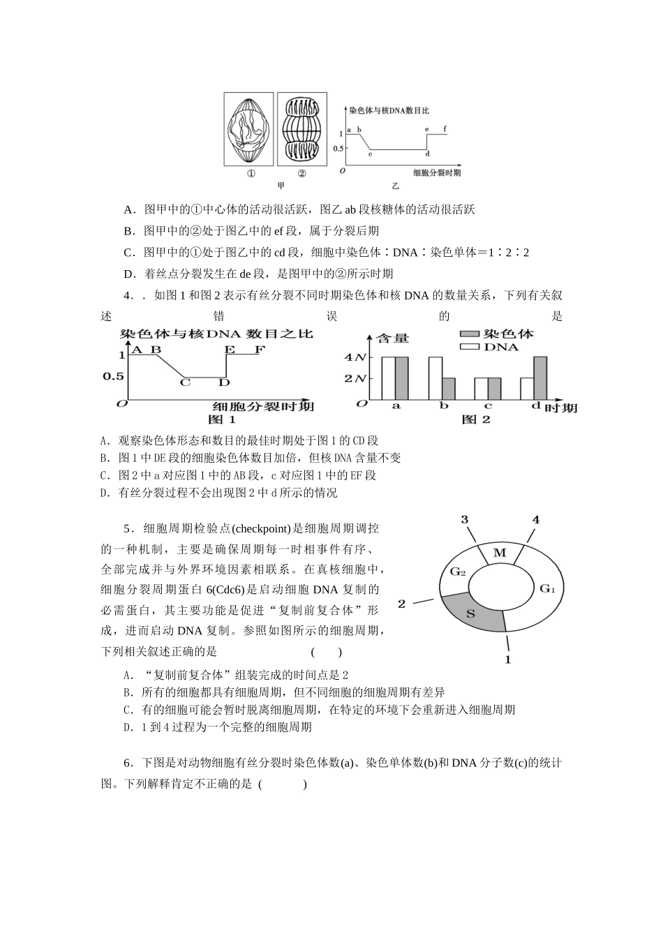 第一节细胞的增殖_第2页