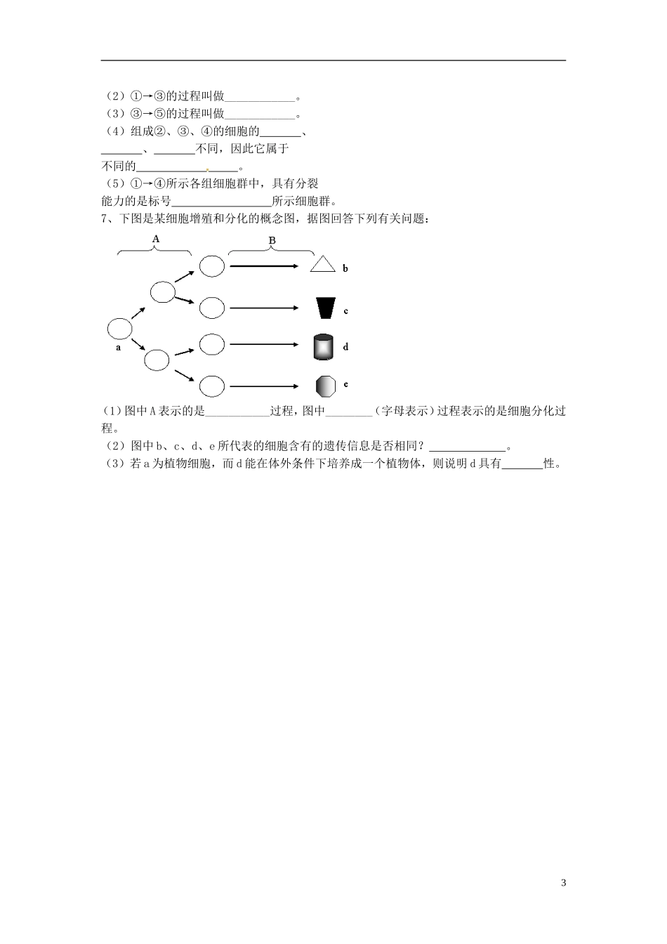 山西省吕梁市高中生物《细胞的分化》学案-新人教版必修2_第3页
