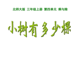 小树有多少棵-马小兰