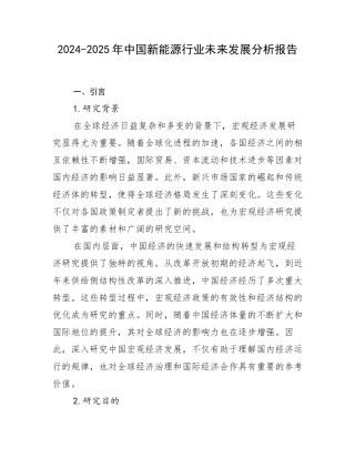 2024-2025年中国新能源行业未来发展分析报告